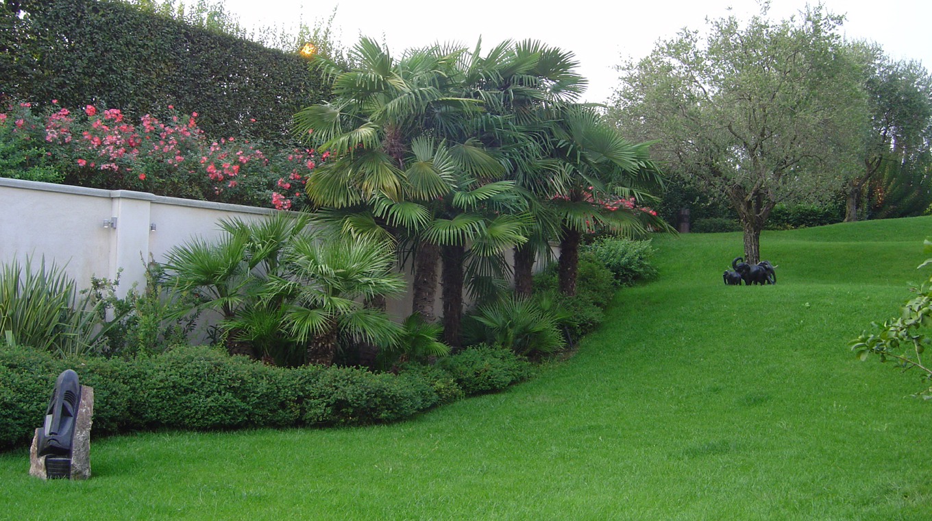 Giardino moderno con piscina