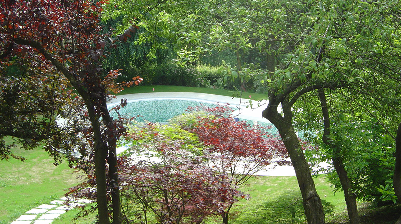 Nuovo giardino con piscina in collina