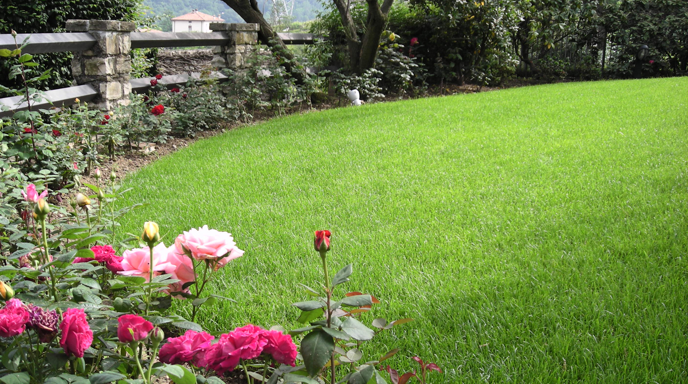 Nuovo giardino con piscina in collina