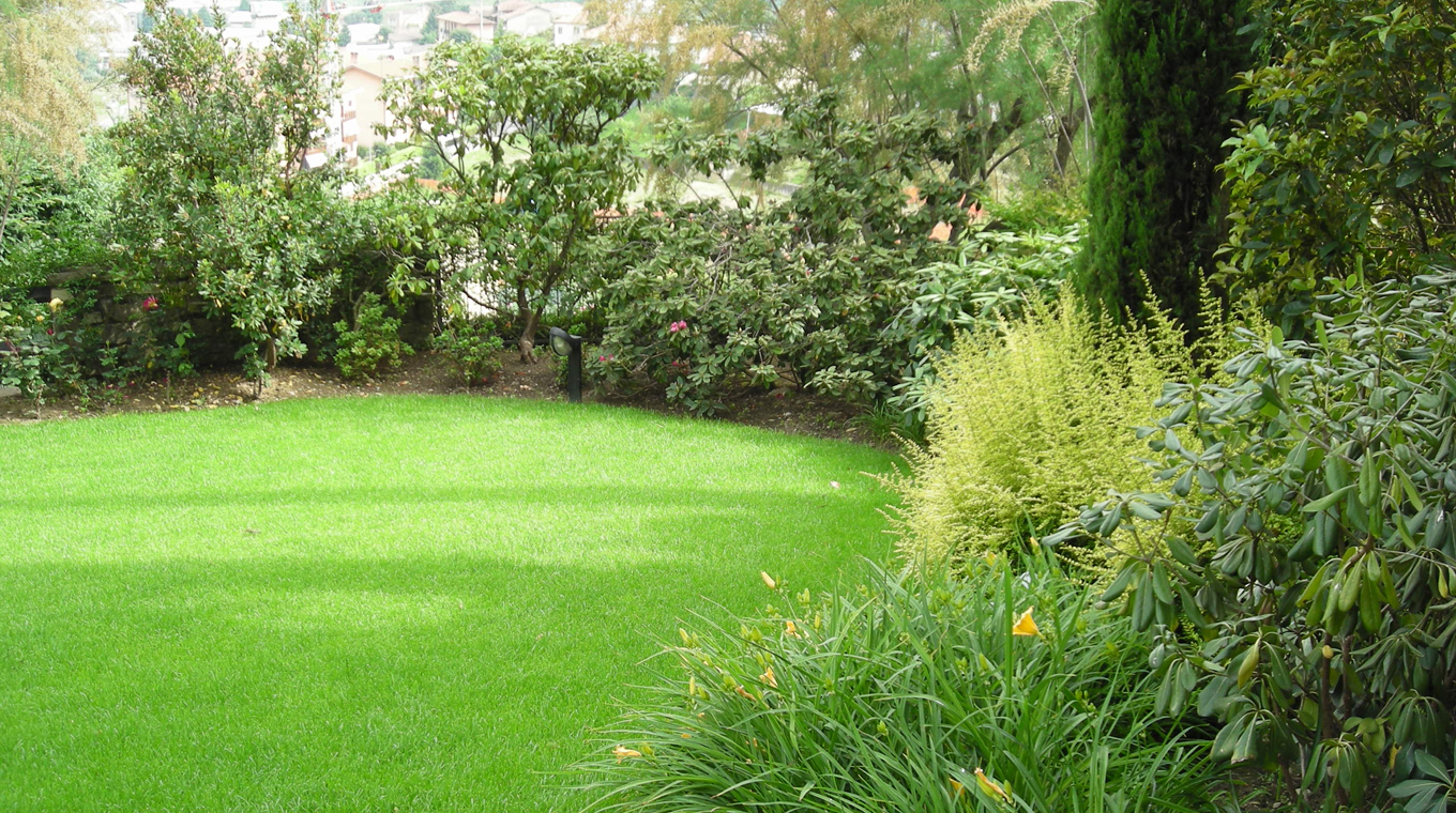 Nuovo giardino con piscina in collina